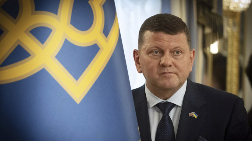 Херш заявил, что Залужный может сменить Зеленского в течение нескольких месяцев