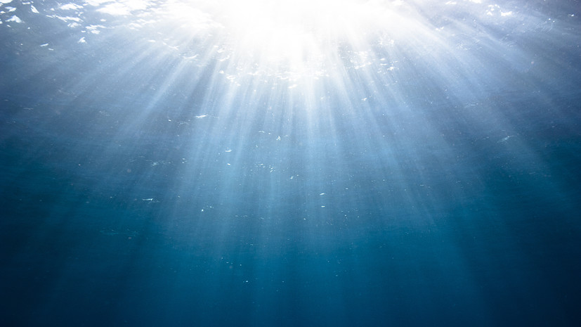 Адеев: на ЧМ в Сингапуре я получил определённое преимущество благодаря горячей воде