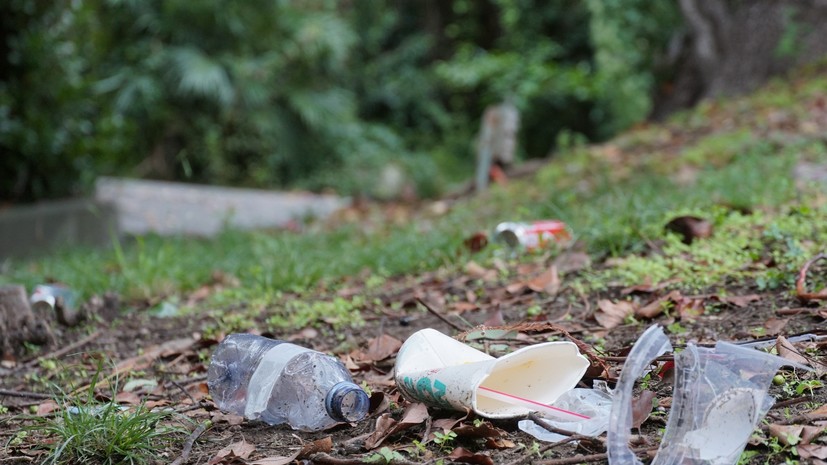 Юрист Кузнецов напомнил о штрафах за оставленный в лесу мусор