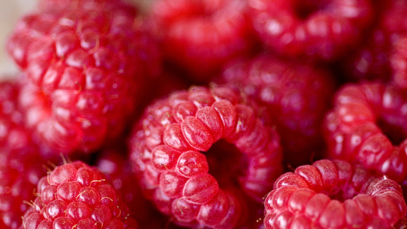 Специалист Суслянок дал советы по мытью малины