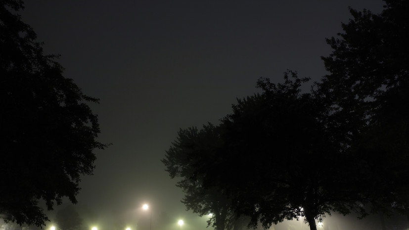Акцию «Ночь в парке» в Подмосковье посетило более 40 тысяч человек