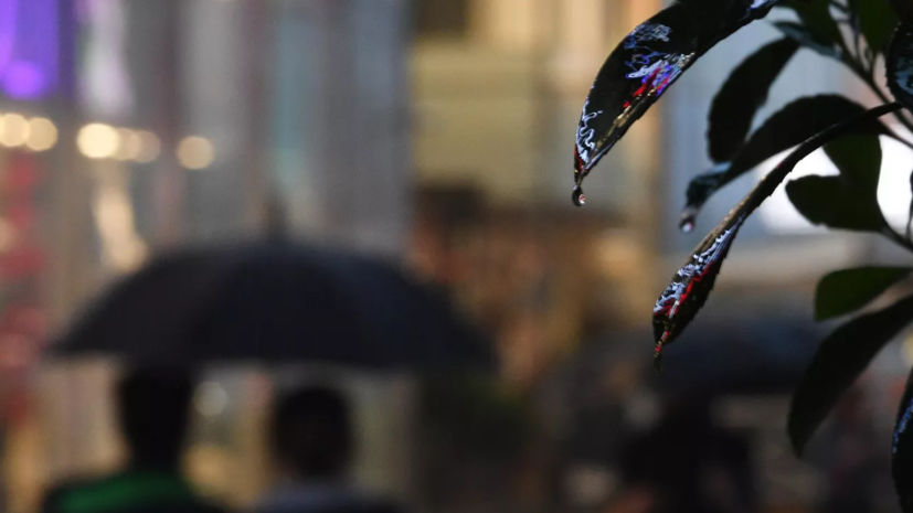 Синоптик Леус спрогнозировал уменьшение интенсивности дождей в Москве