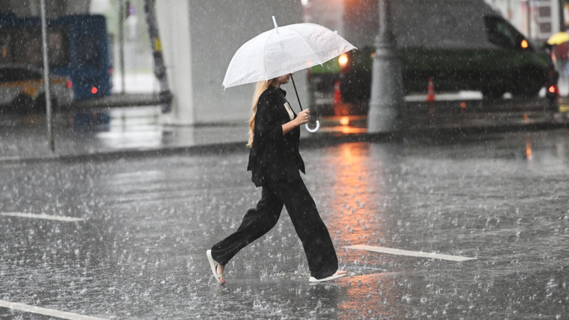 Гидрометцентр: ливень в Москве стал одним из самых сильных на планете за сутки