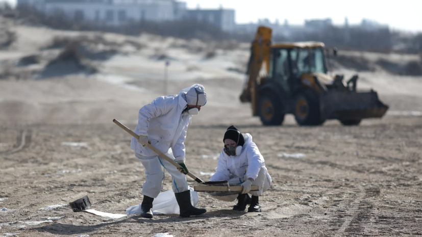 Росприроднадзор: собственник «Волгонефти-212» бездействует весь период ликвидации ЧС