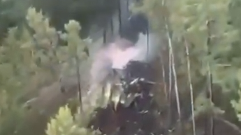 «Аэрофлот» готов организовать перевозки родственников погибших при ЧП с Ан-24