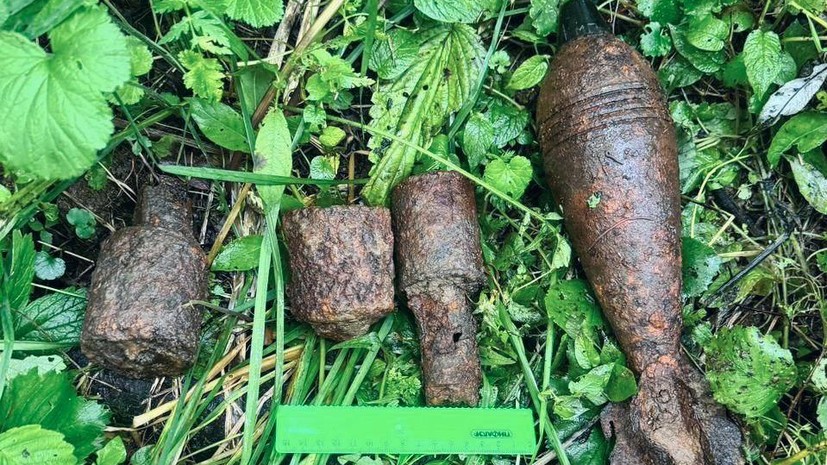 В Подмосковье ликвидировали гранаты и мину времён Великой Отечественной войны