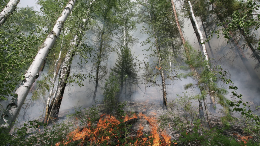 В Курганской области высокая пожароопасность прогнозируется 25—26 июля