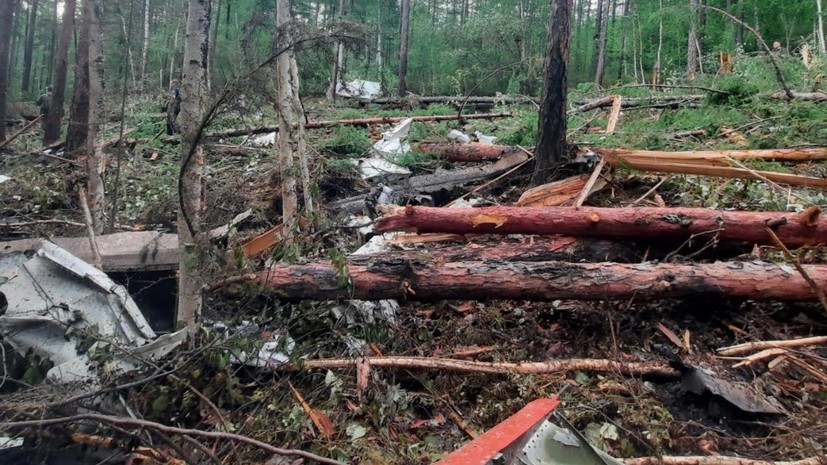 Пашинян направил Путину соболезнования в связи с крушением самолёта Ан-24