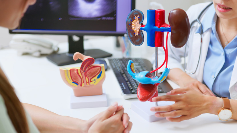 Диетолог Дианова рассказала о питании для здоровья почек