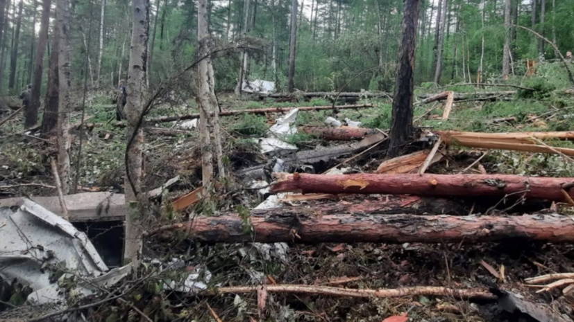 МАК: все системы Ан-24 работали до столкновения самолёта с землёй