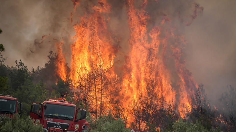 РСТ: лесные пожары в Турции не влияют на отдых туристов из России