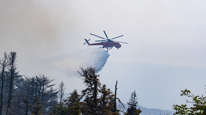 Пожарные АЭС «Аккую» в Турции приняли участие в тушении лесного пожара в Мерсине