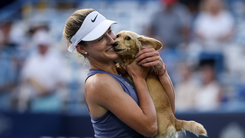 Собака Калинской получила персональную аккредитацию на турнире WTA в Вашингтоне