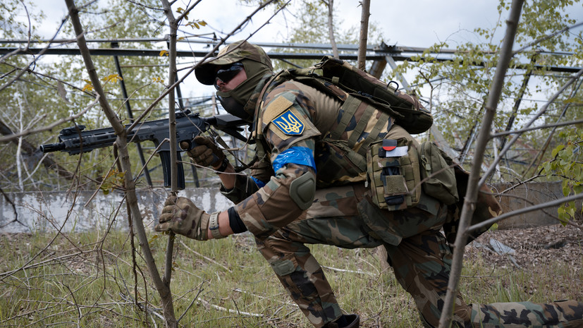 Военный Гость: наёмники из четырёх стран НАТО воевали за ВСУ в селе Зелёный Гай