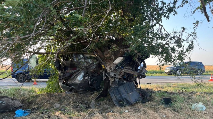 Ставропольская прокуратура проверит обстоятельства ДТП с тремя погибшими