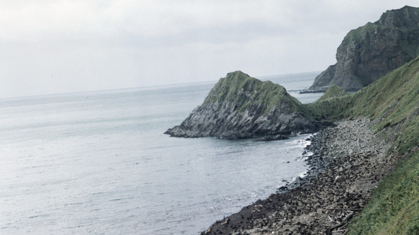 Политолог — об идее офицера США купить Командорские острова: обсуждать нечего