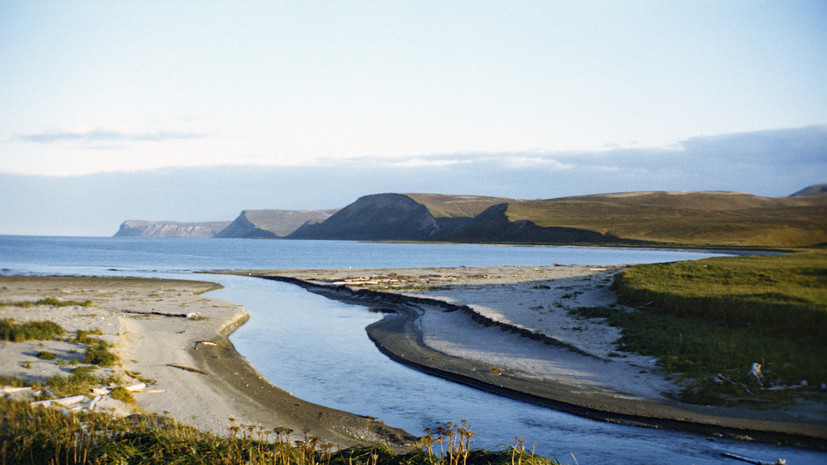 Депутат Журова прокомментировала предложение продать Командорские острова