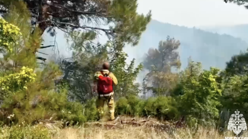 МЧС: площадь лесного пожара возле Геленджика выросла до 12 га