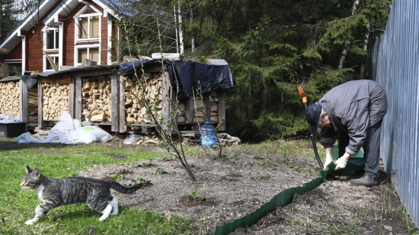 Россиян предупредили, что на даче высока вероятность заражения столбняком
