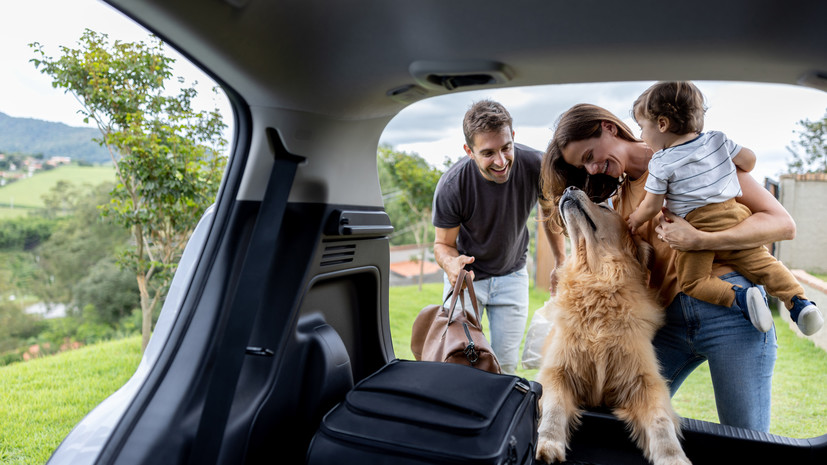 Россиянам рассказали, как подготовиться к длительной поездке на автомобиле
