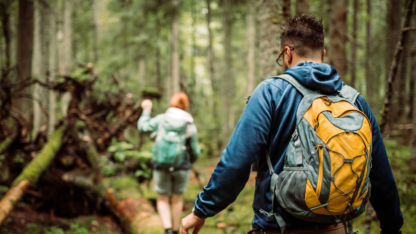 Специалист Чихринова рассказала, что необходимо для идеального похода в лес