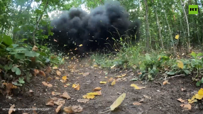 «Высочайшее мастерство и самоотверженность»: как организована боевая работа сапёров российской армии в зоне СВО