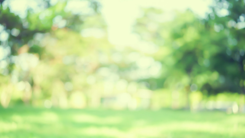 Более 80 парков Подмосковья примут фестиваль «Культурный код»