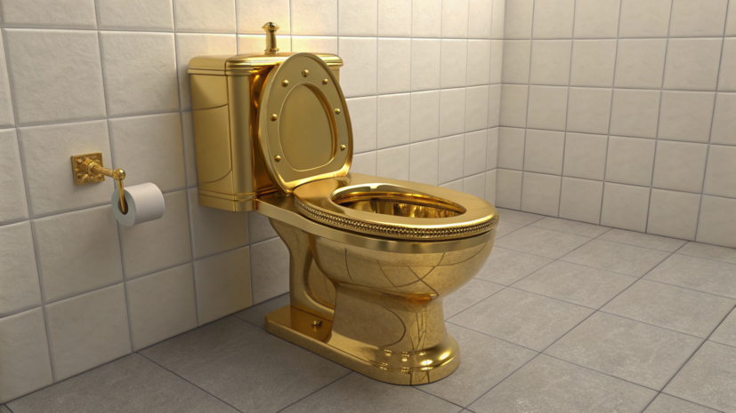 Железняк: золотой унитаз стоит в квартире у «кошелька Зеленского» Миндича