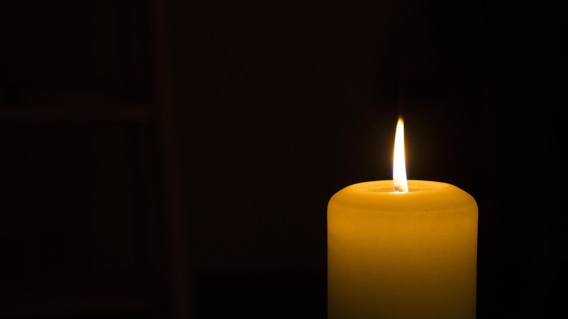 Умер академик Владимир Плоских