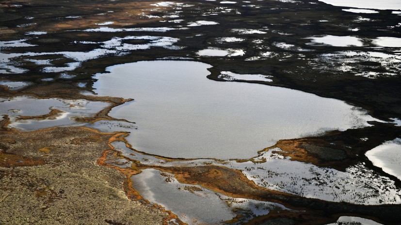В ЯНАО более 120 студентов до конца года изучат мерзлоту и экосистемы региона