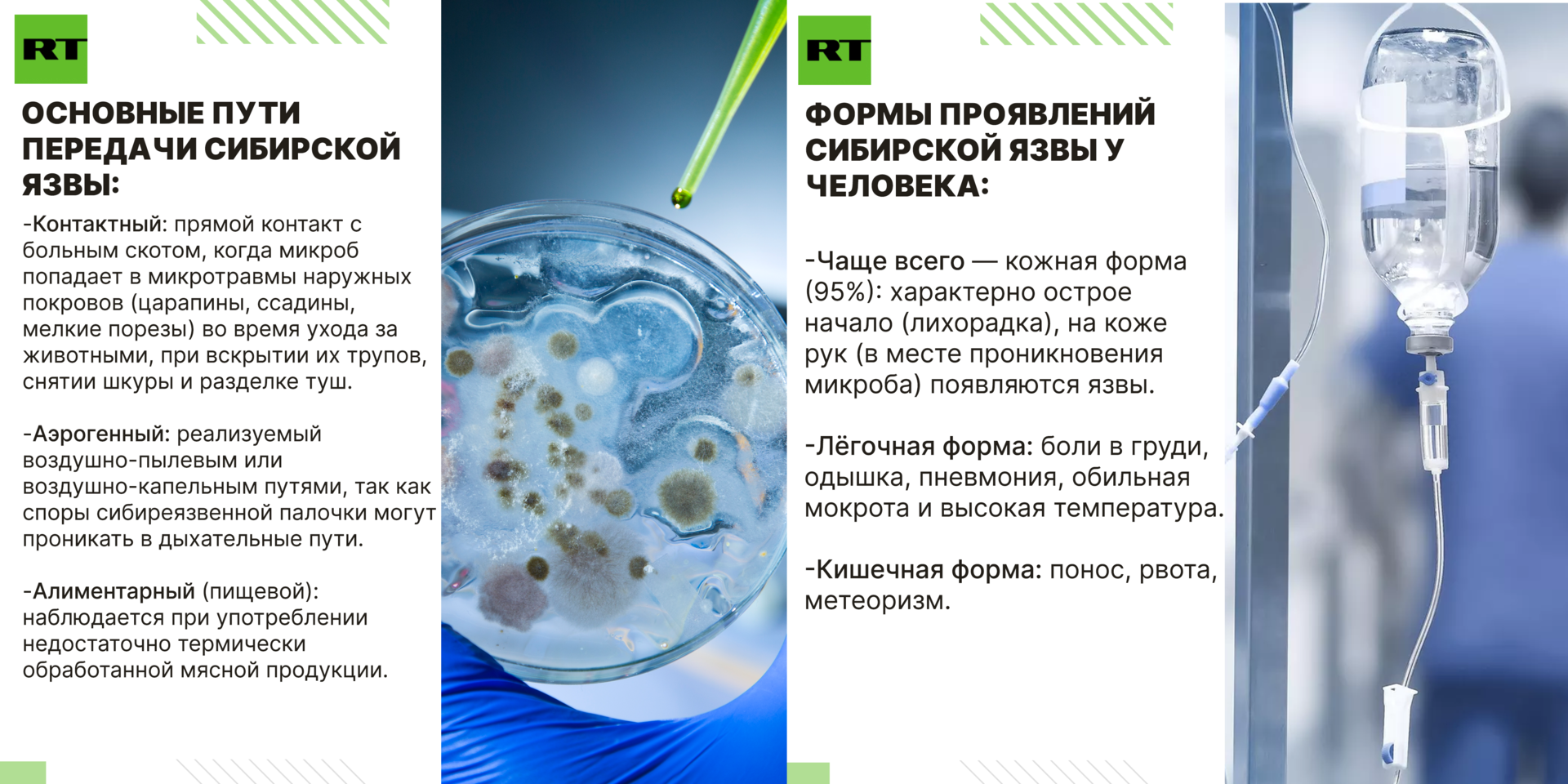 Купание рядом с сибирской язвой: опасны ли скотомогильники у Волги