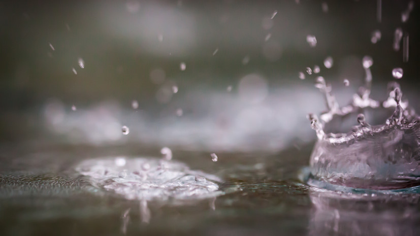 Синоптик Тишковец: 134% от месячной нормы осадков выпало в Москве за июль