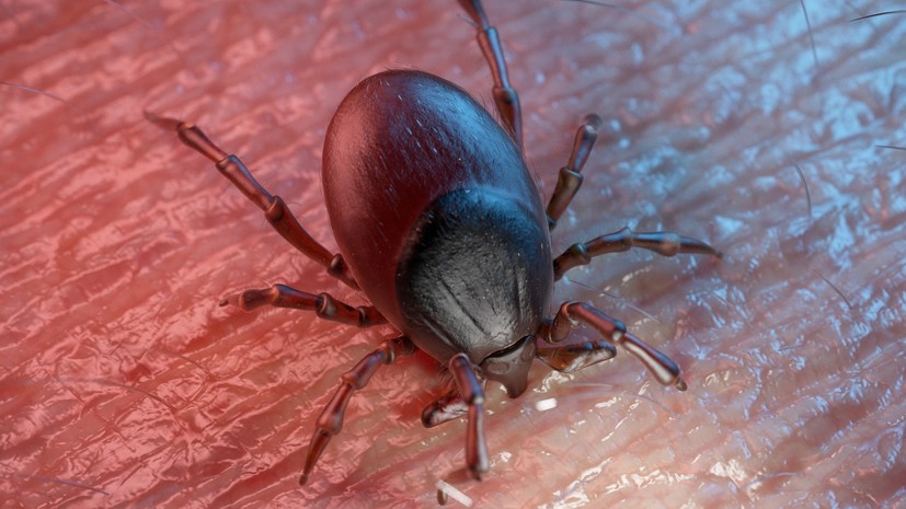 Врач раскрыла, чем опасна диагностированная у Тимберлейка болезнь