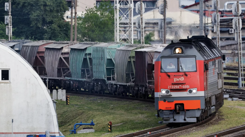 В Литве нашли сбежавшего с транзитного поезда Адлер — Калининград россиянина