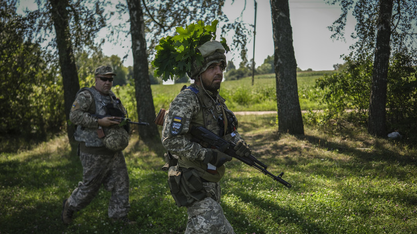 Депутат Рады Скороход: солдаты бегут из ВСУ, чтобы не быть убитыми «в затылок»
