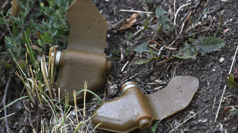 В Донецке мирный житель пострадал в результате подрыва на мине «Лепесток»