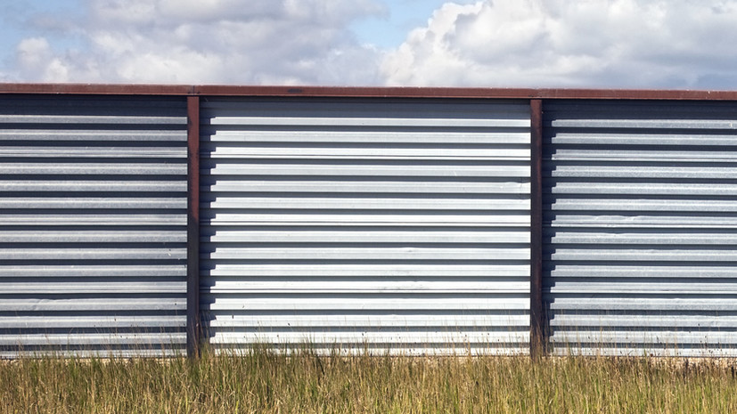 Боуз: баррикады Эстонии не остановят бегущих в Россию европейцев