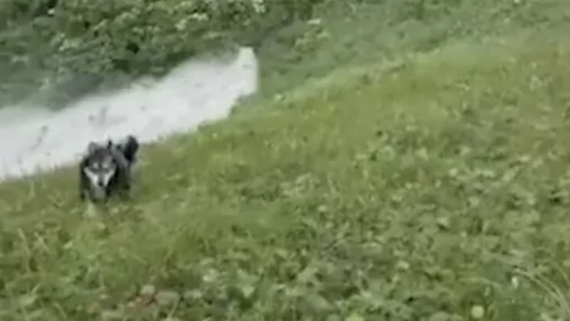 Житель Камчатки измерил цунами после землетрясения