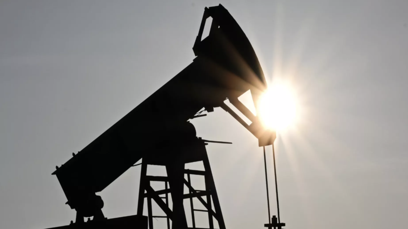 МИД Индии: нападки США и ЕС из-за импорта российской нефти необоснованны