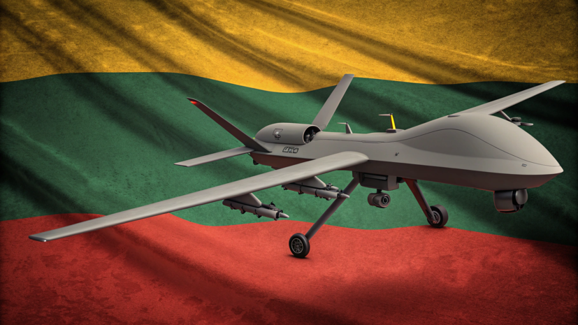 В Литве заявили о намерении усилить средства борьбы с БПЛА до конца года