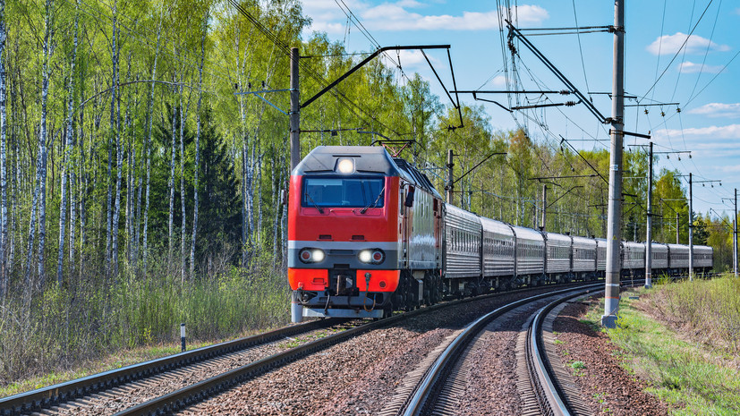 В России пассажирам разрешили перевозить в поездах летающих поссумов и сурикатов