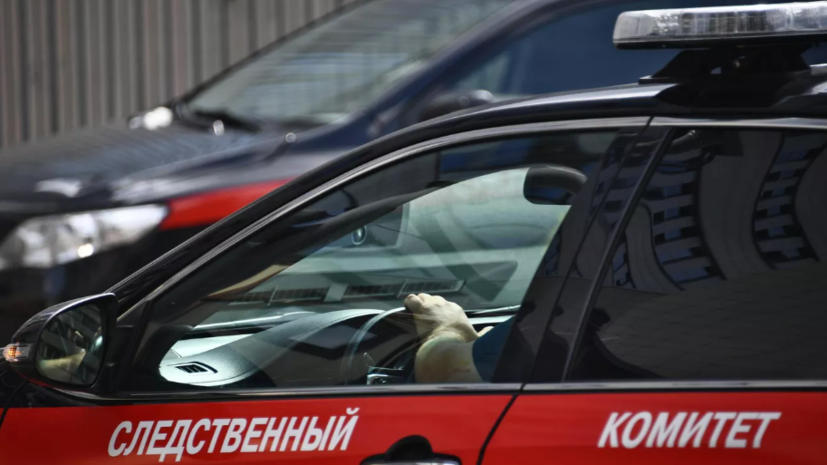 Бастрыкин поручил возобновить дело об избиении ребёнка в курганском лагере