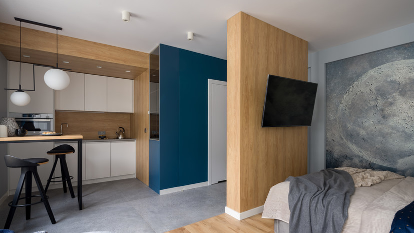 Депутат Милонов назвал квартиры-студии «живопырками»