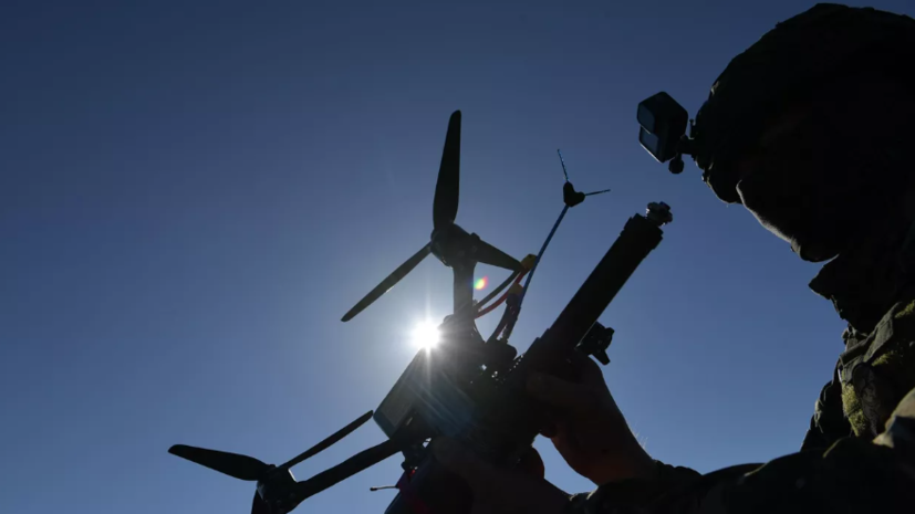 Эксперт Гади: Россия достигла прогресса в применении БПЛА