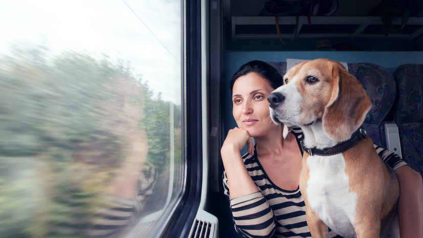 Юрист Остапенко назвал правила ввоза животных в Россию из-за границы