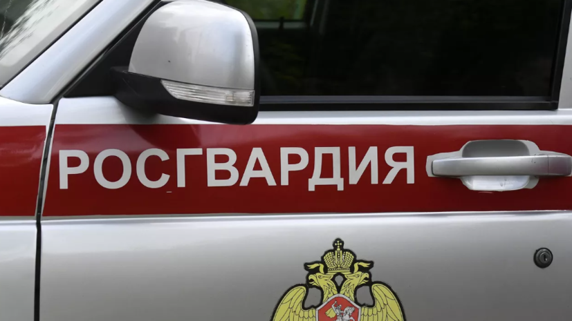 В ДНР росгвардейцы обнаружили склад ВСУ с иностранным оружием