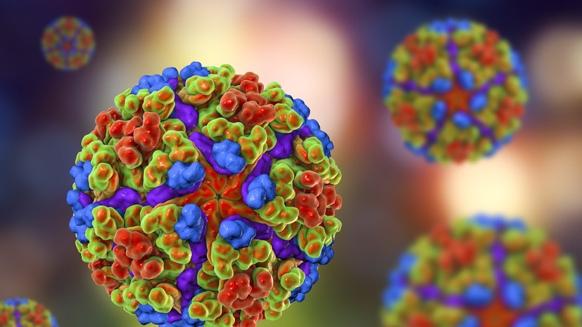 Врач Уланкина: узнать о заражении чикунгуньей можно только по симптомам