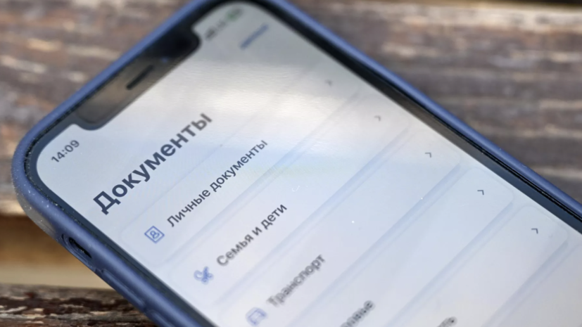 В Соцфонде России рассказали о действиях на случай потери СНИЛС