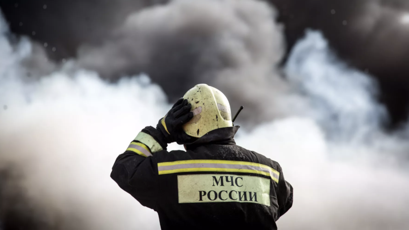 Сотрудники МЧС тушат ландшафтный пожар в Крыму