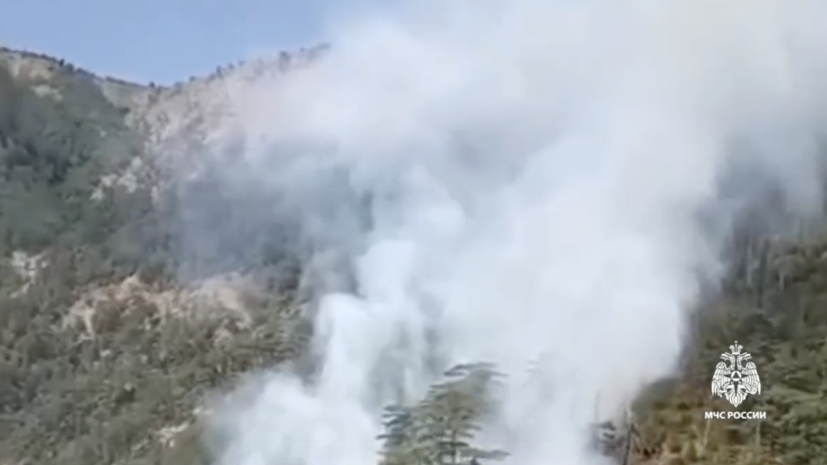 В Ялте привлекают волонтёров к тушению ландшафтного пожара в заповеднике